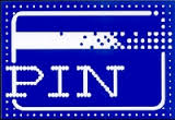 Pin